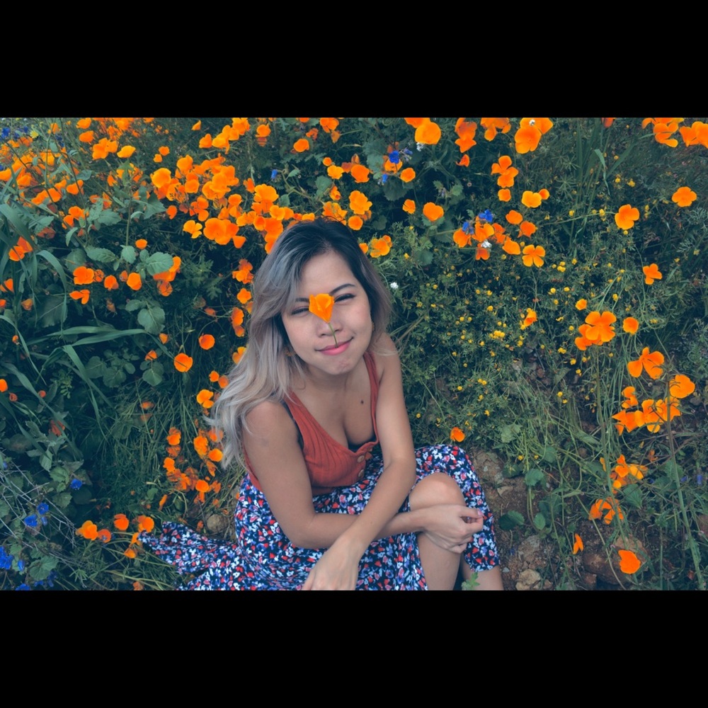 Meet your Posher, Trang